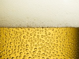 Beer Background