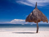 Bohol Beach Nature Landscapes
