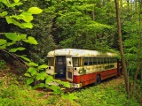 Bus Neglect Forest Nature Landscape