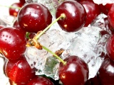 Cherries On Ice Cubes