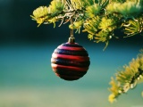 Christmas Balls On Pine Tree