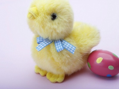 Easter Holiday Egg Chick