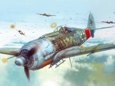 Eduard 1 48 Fw 190
