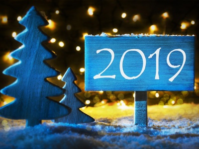 Fir Tree And Sign To 2019 New Year