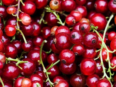Fruit Food Berries