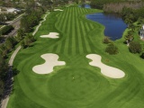 Golf Westchase Golf Club Tampa Florida