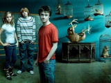 Harry Potter Emma Watson Rupert Grint Daniel Radcliffe