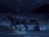 Horse Paints Water Gallop Night