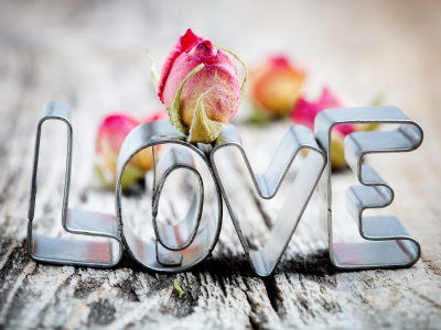 Love Flower Valentines Day