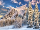 Mountain Forest Snow Winter