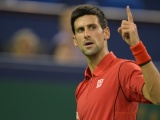 Novak Djokovic Tennis Player