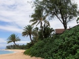 Oahu Beach Nature Landscapes