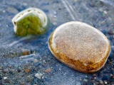 Stones In Water