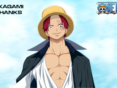 Straw Hat Pirates The One Piece Anime Pirate