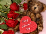Teddy Bear And Roses