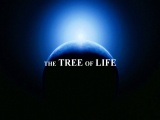 The Tree Of Life Wallpapers