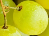 Yellow Fruits Food Grapes