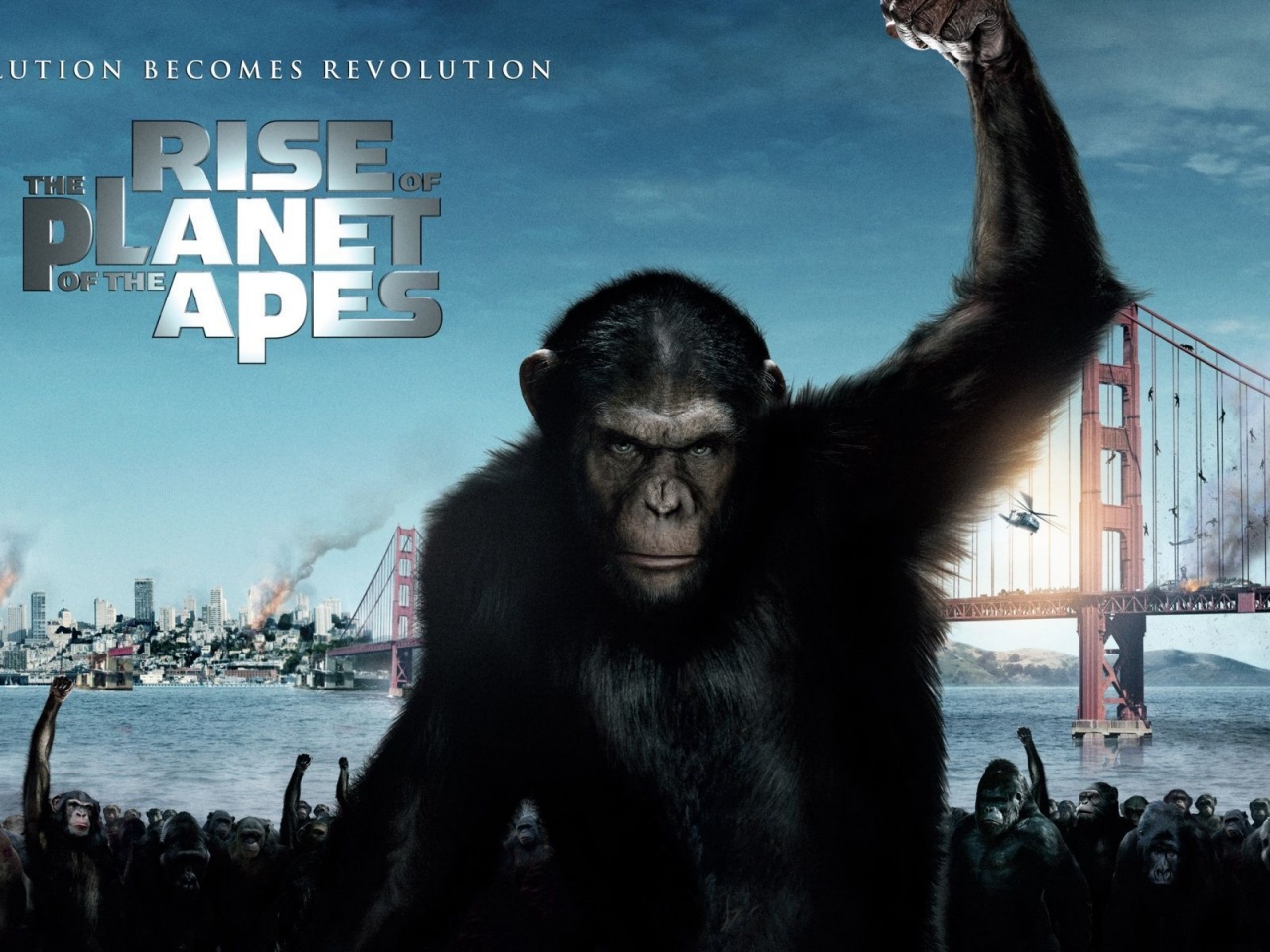 2011 Rise Of The Planet Of The Apes Poster Movie