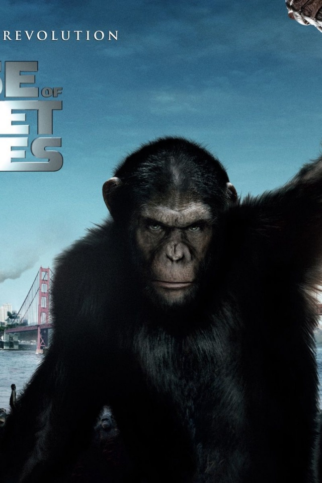 2011 Rise Of The Planet Of The Apes Poster Movie