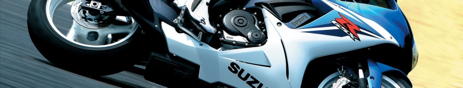 2011 Suzuki