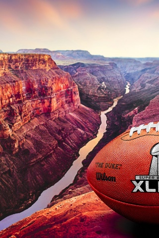 2015 Official Ball Super Bowl XLIX