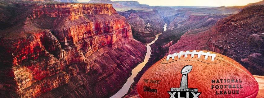 2015 Official Ball Super Bowl XLIX