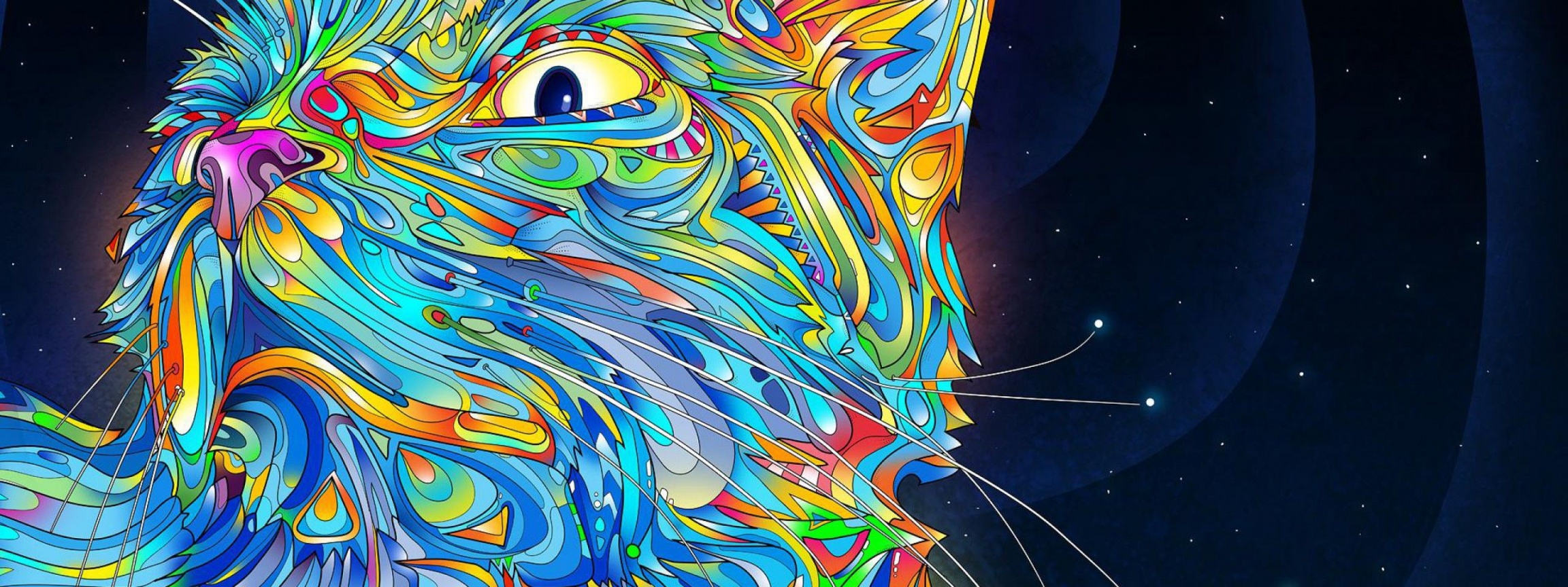 2d Colorful Colorful Cat