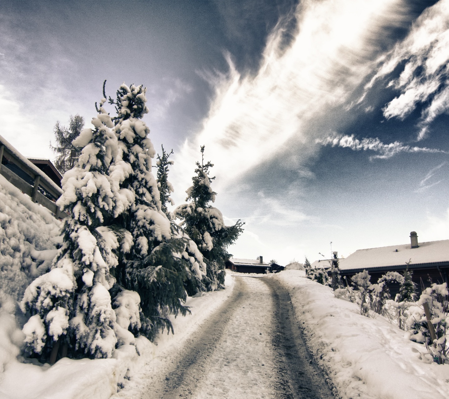 A Mountain Road In Winter