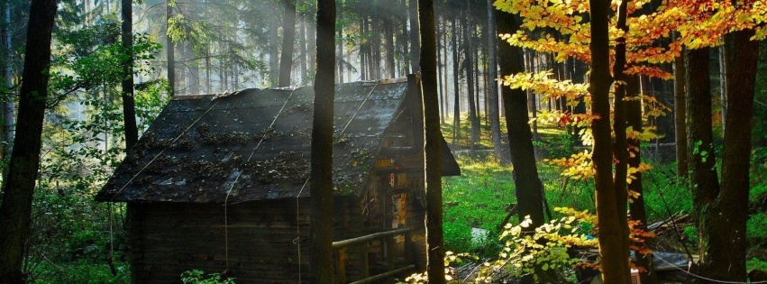 Abandoned Hut Nature Landscapes