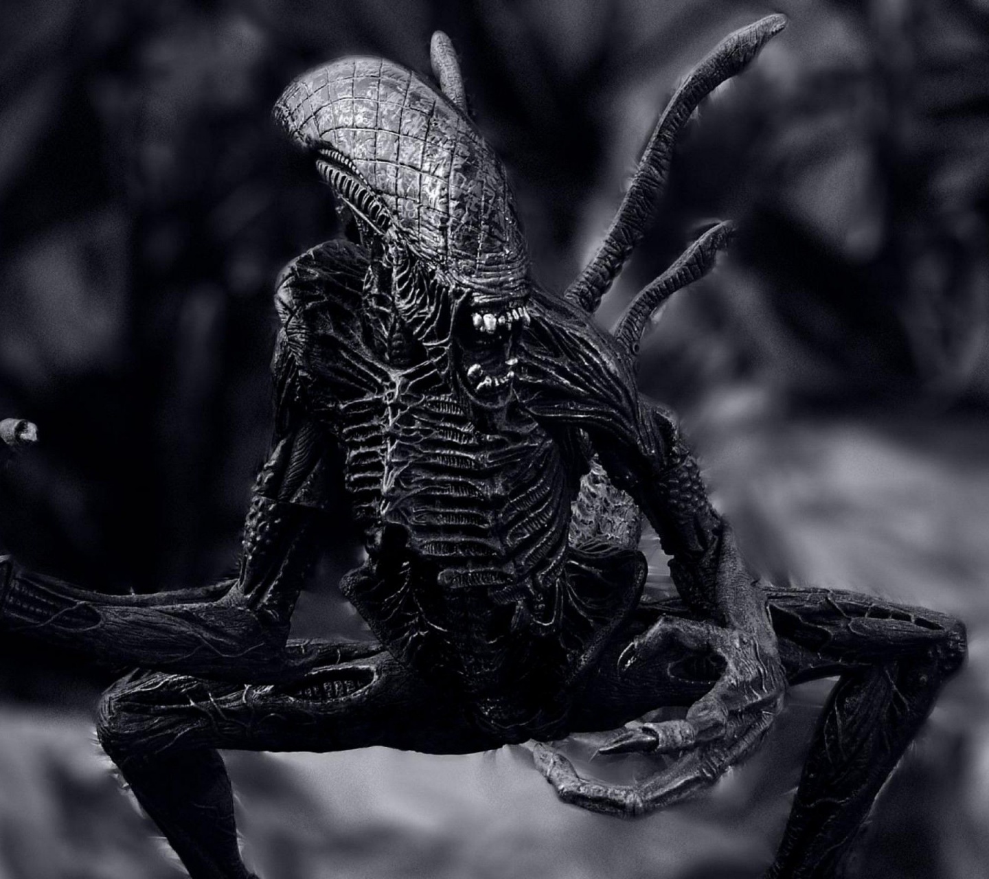 Aliens Xenomorph