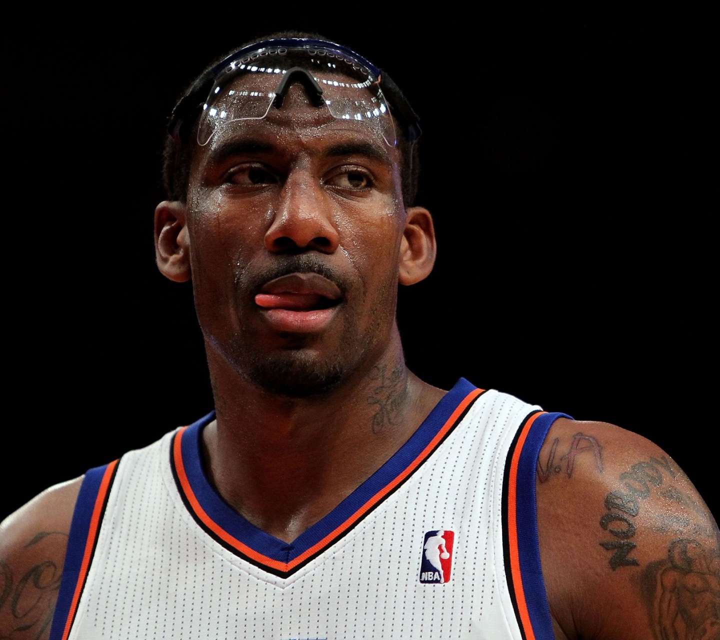 Amare Stoudemire1