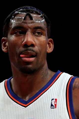 Amare Stoudemire1