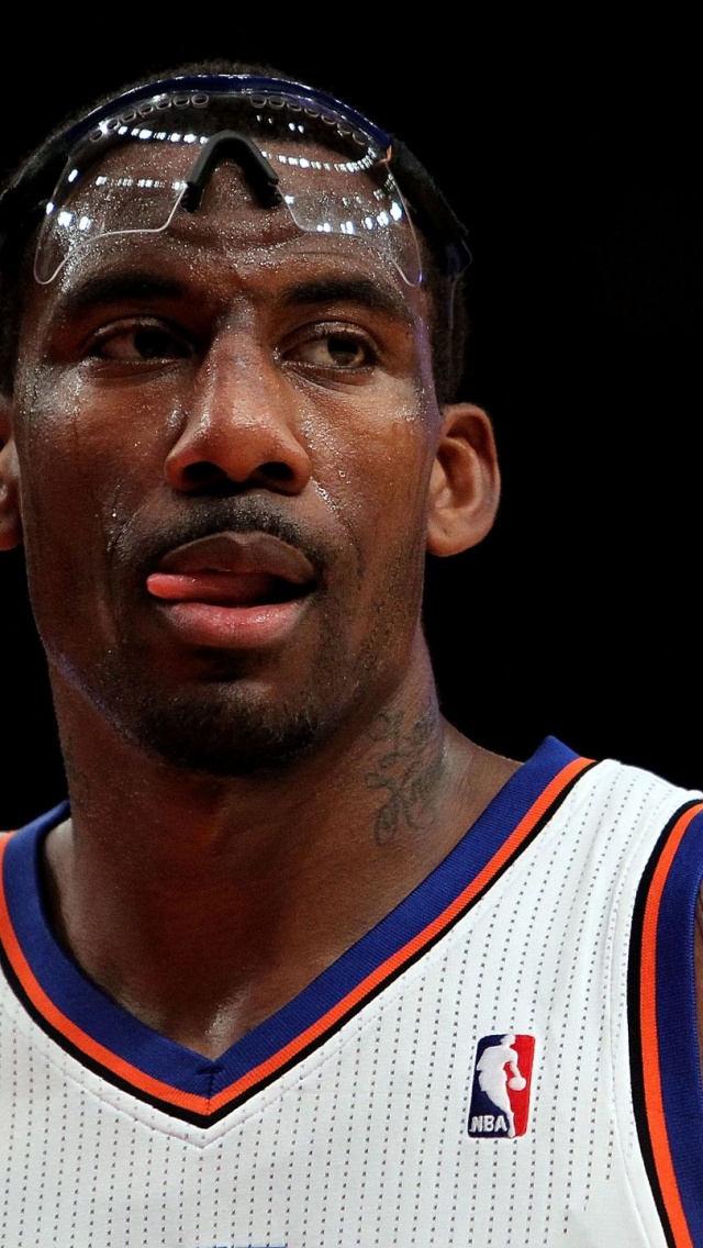 Amare Stoudemire1