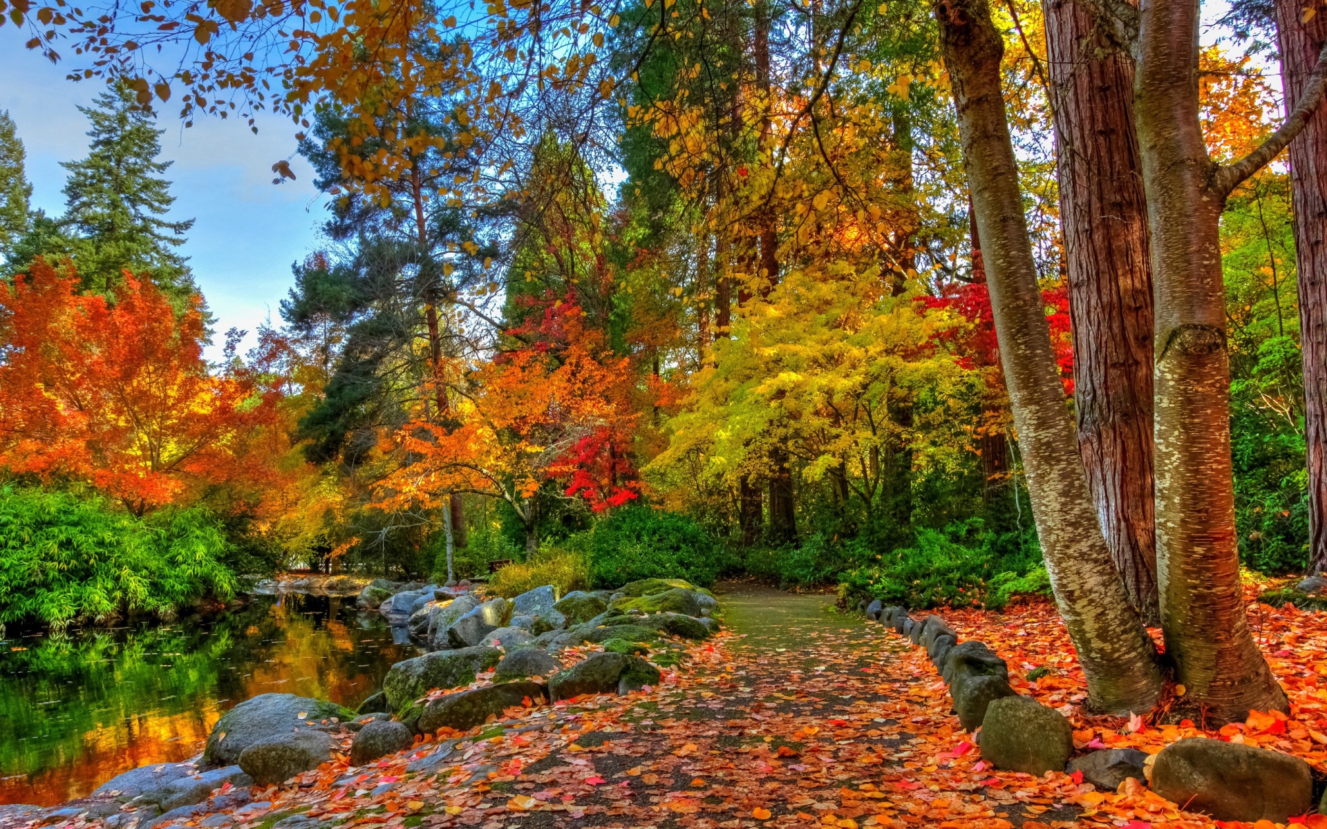 Amazing Autumn Colors