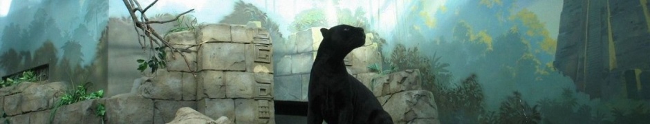 Ancient Panther