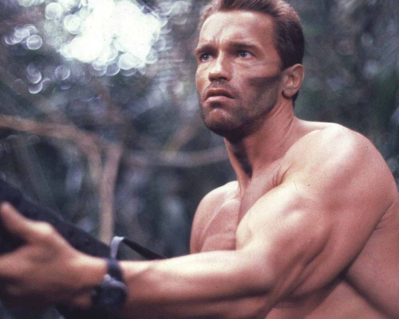 Arnold Schwarzenegger Predator