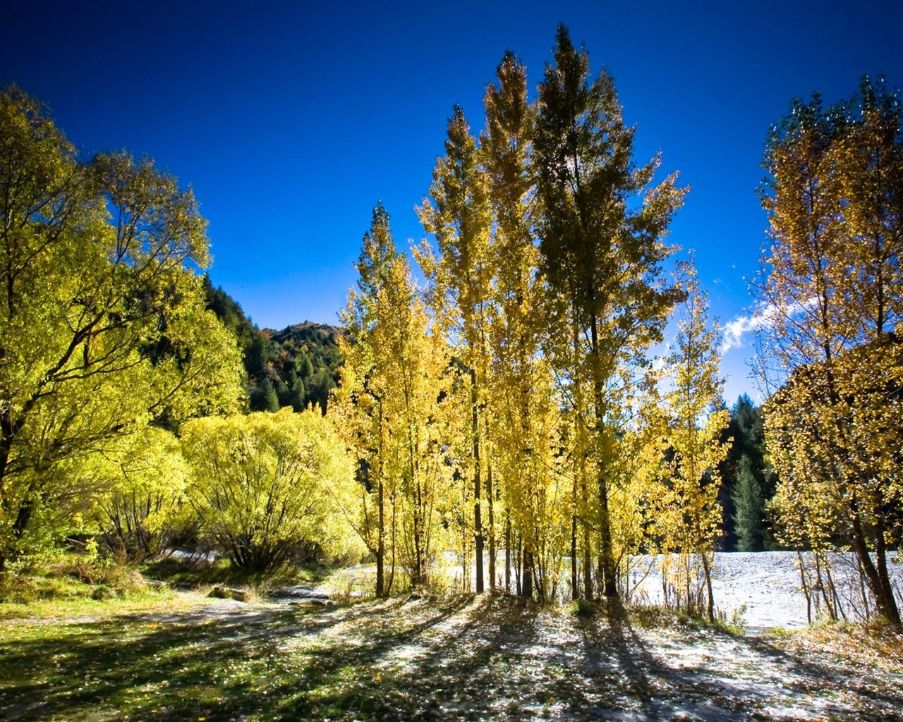 Arrowtown Autumn New Zealand