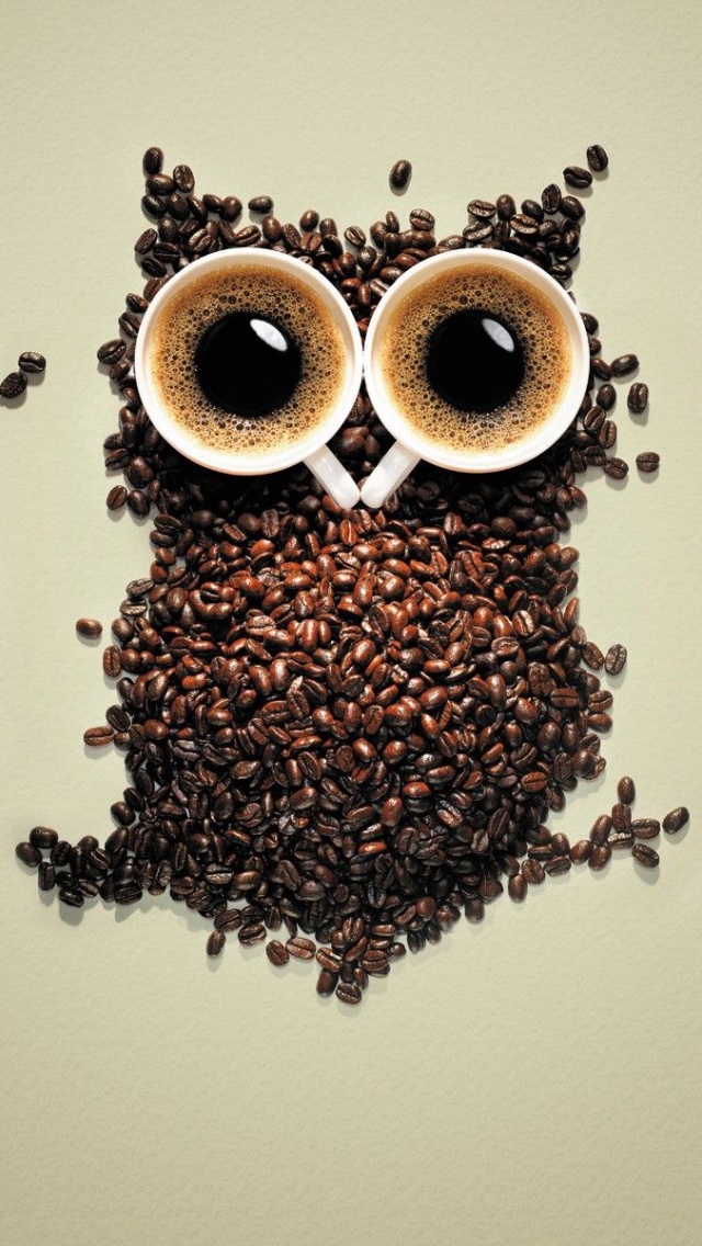 Artistic Coffee Funny Owls