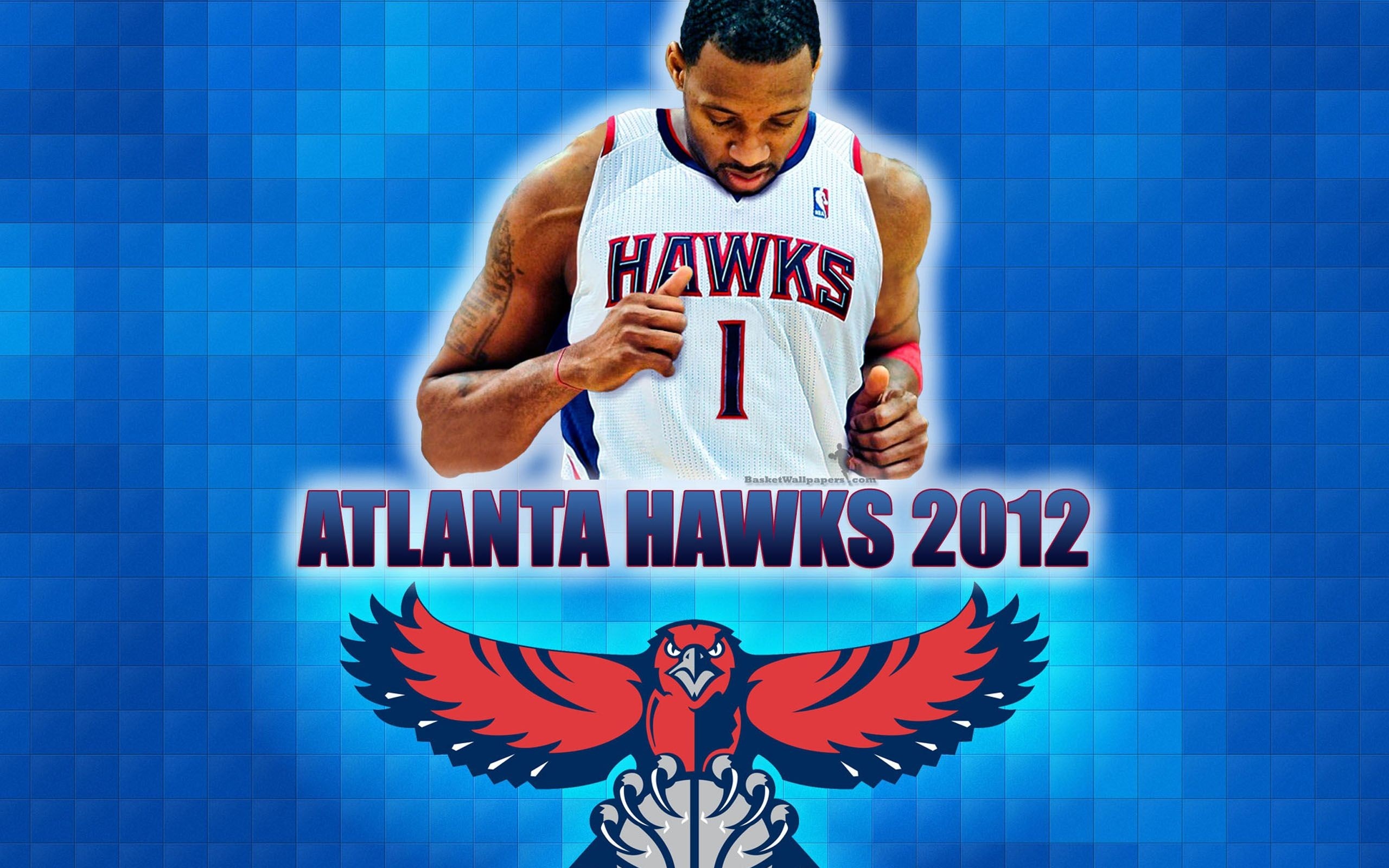 Atlanta Hawks American Professional Basketball Tracy Mcgrady