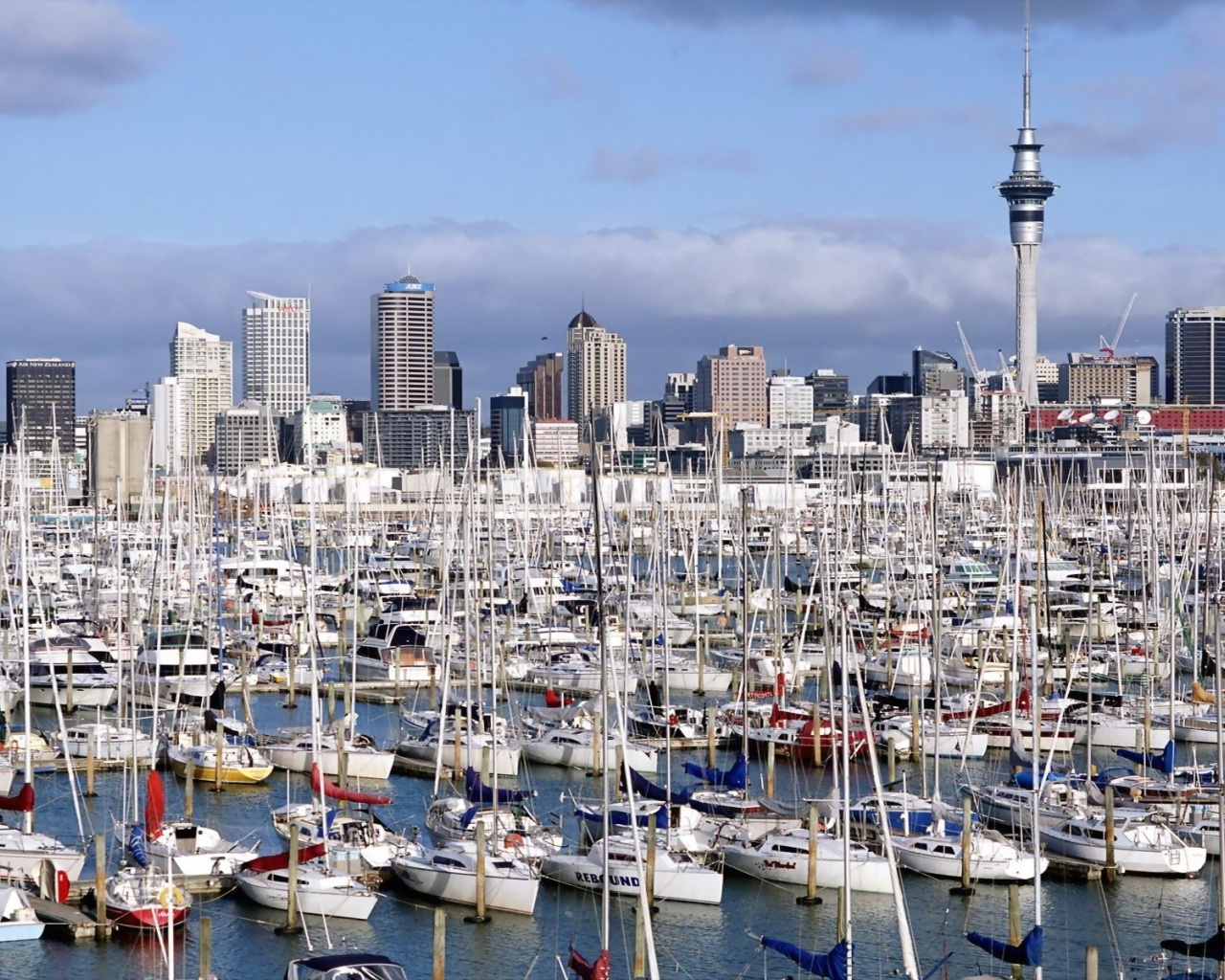 Auckland New Zealand Marina Yacht North Island