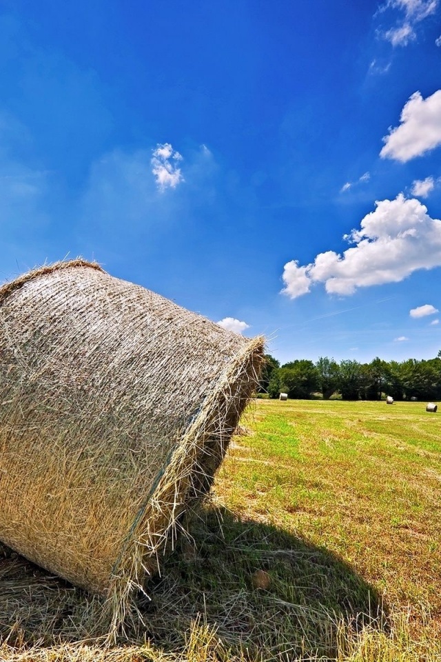 Bales Hay Nature Landscapes