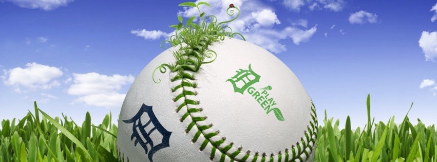 Baseball 3D Play Green Sports