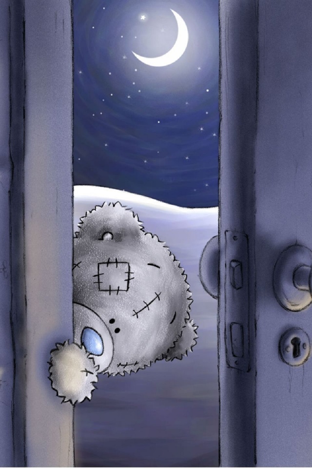 Bear Teddy Door Night Moon