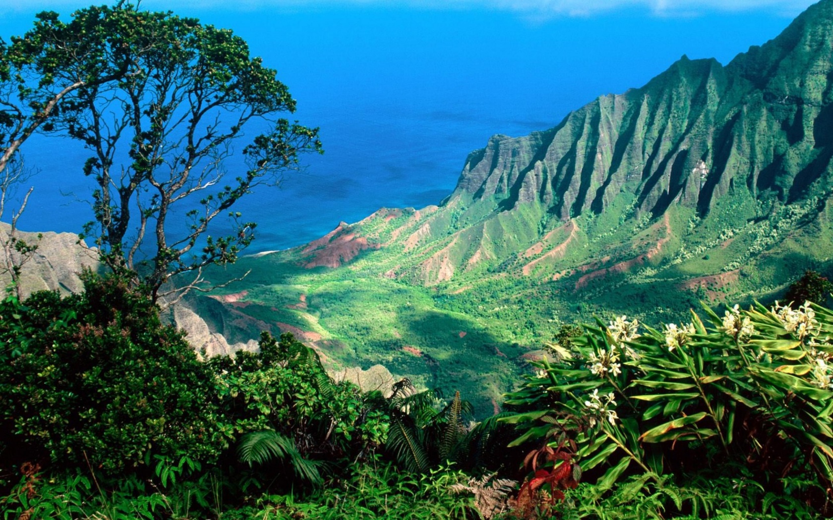Beautiful Scenery Kauai Kalalau Valley Islands Hawaii United States World