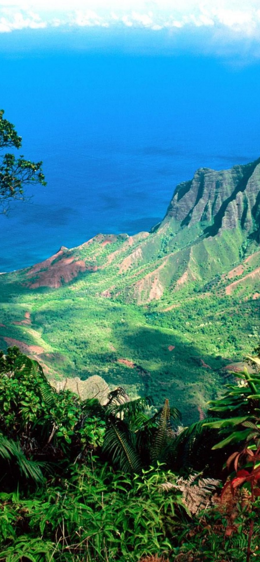 Beautiful Scenery Kauai Kalalau Valley Islands Hawaii United States World