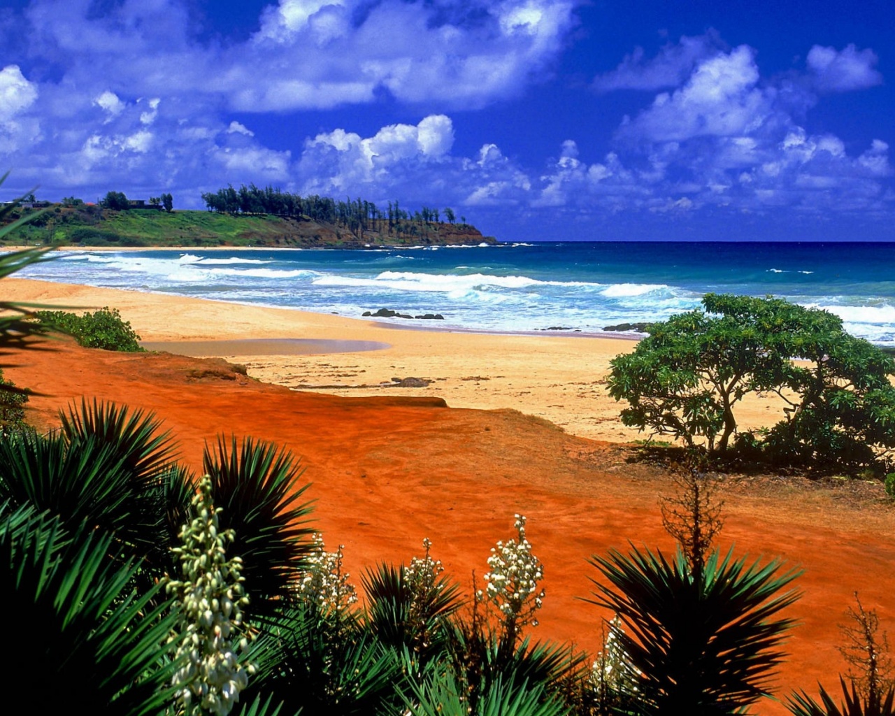 Beautiful Scenery Kealia Resort Beach Kauai Hawaii Archipelago United States World