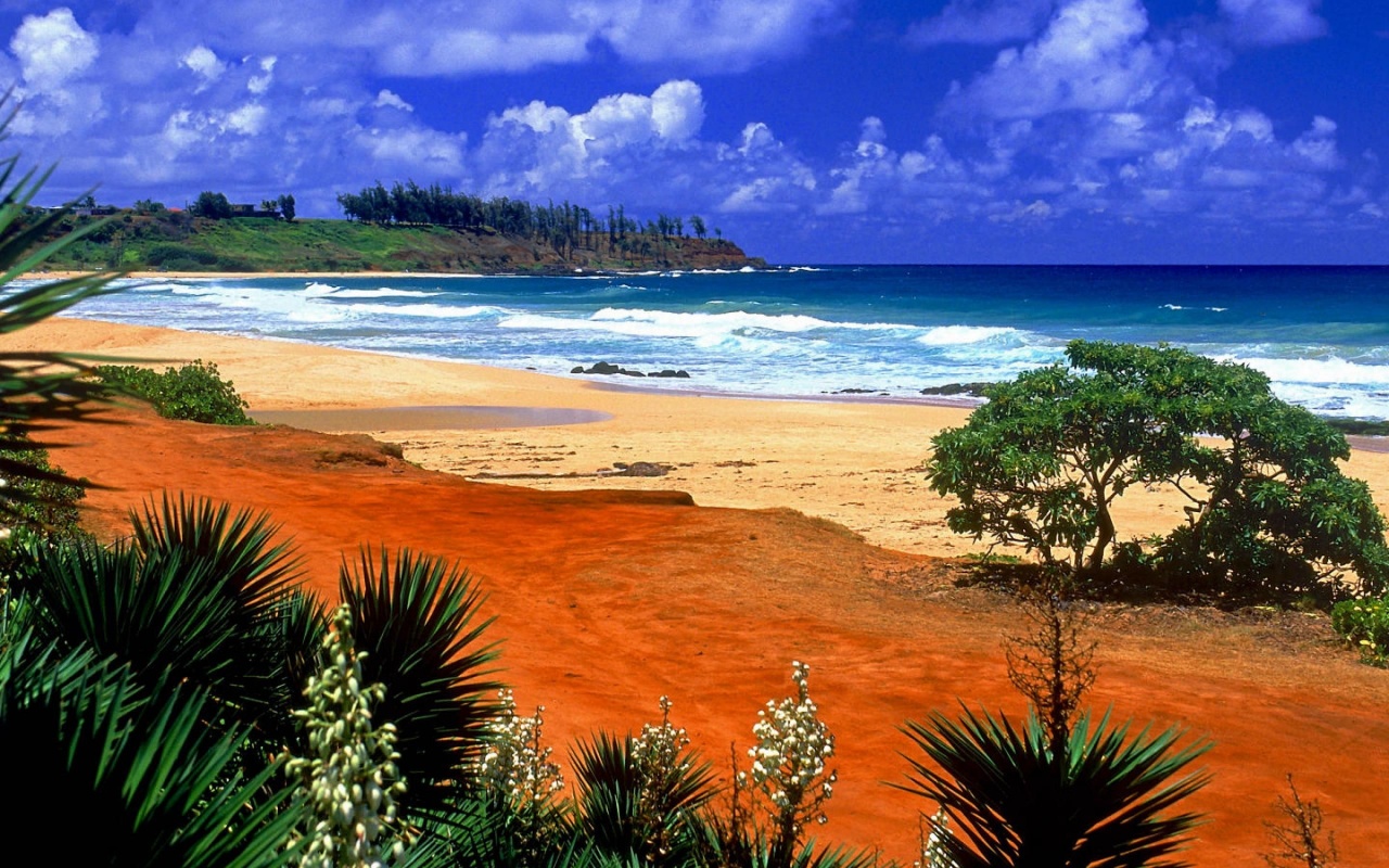Beautiful Scenery Kealia Resort Beach Kauai Hawaii Archipelago United States World