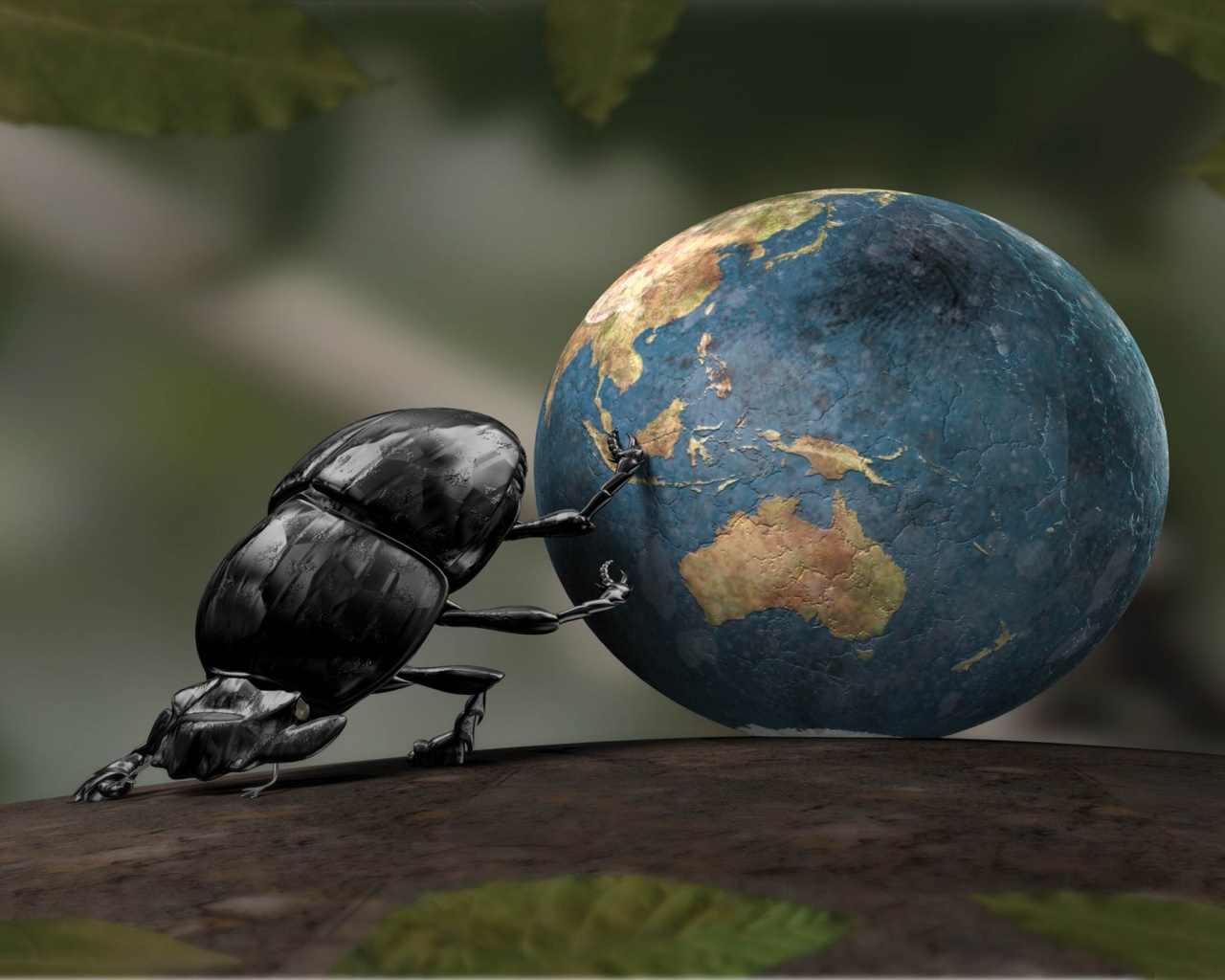 Beetle Illustration