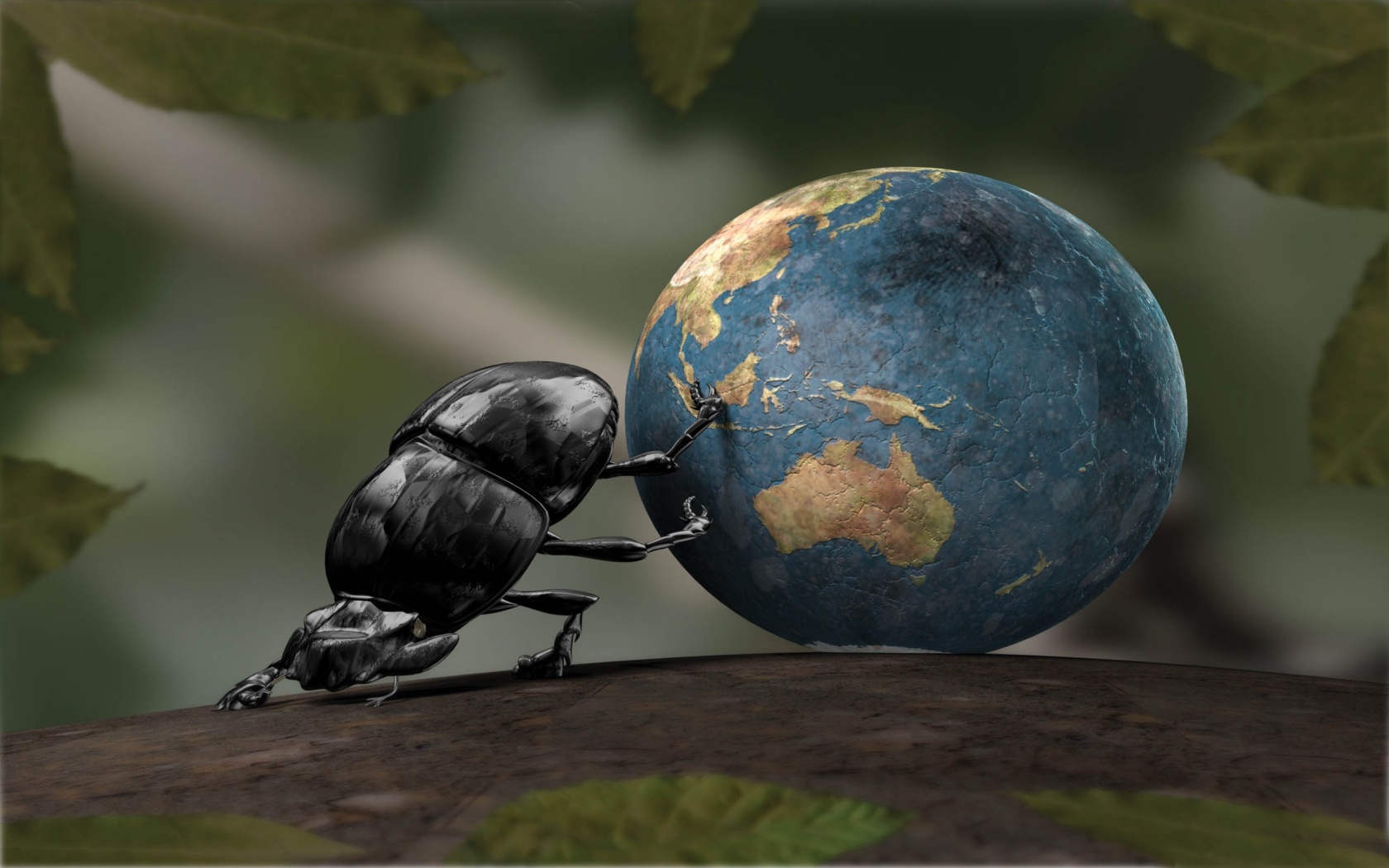 Beetle Illustration