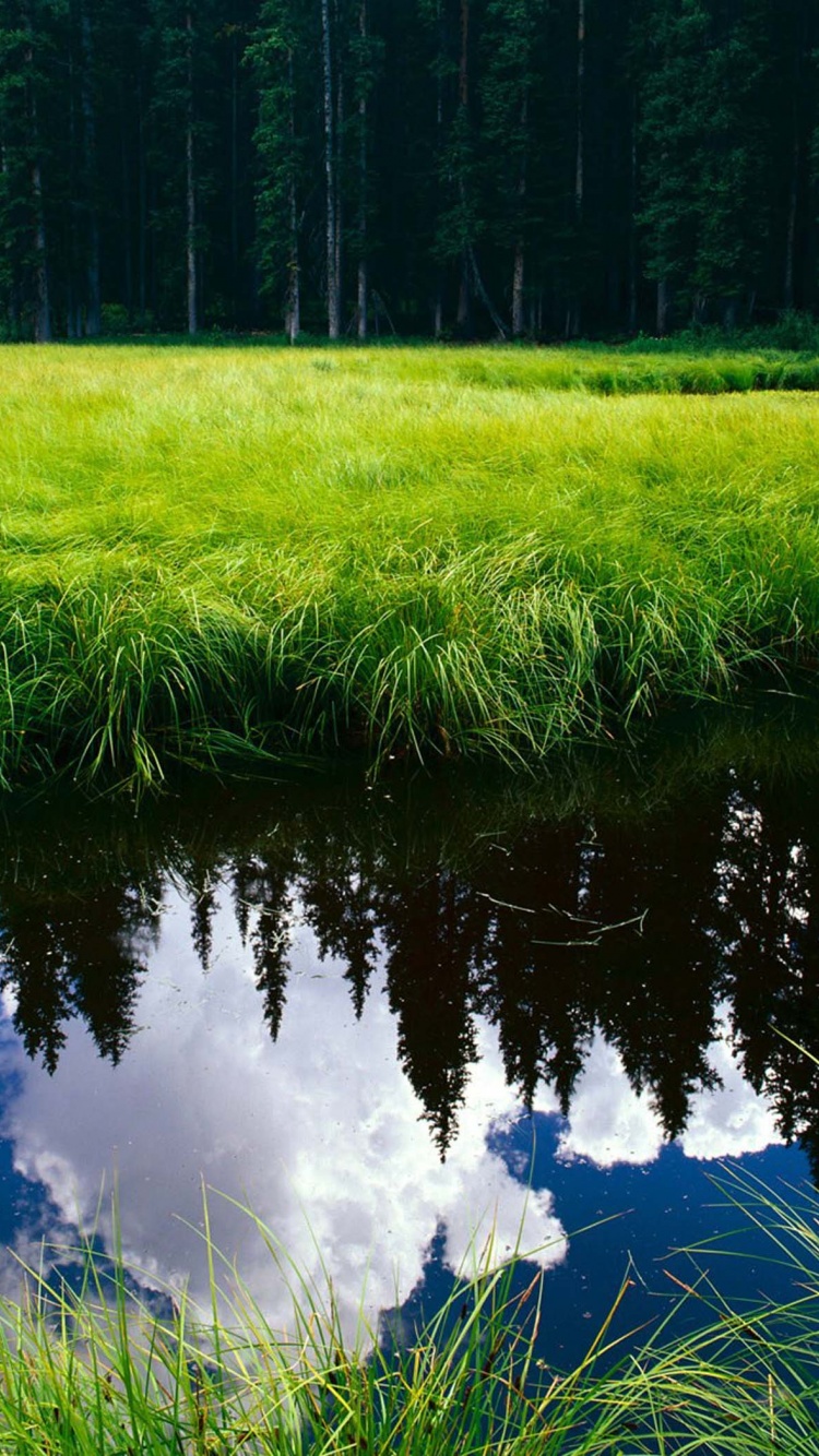 Blue Sky Reflection In The Water